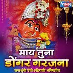 Shirpur Nagrin Nav She Amar