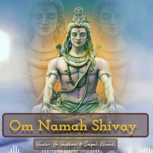 Om Namah Shivay