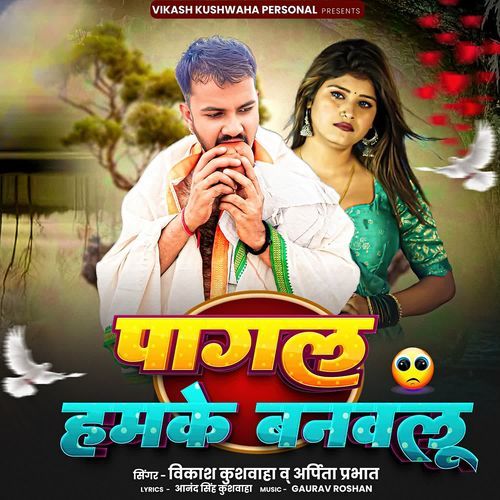 Pagal Hamke Banawalu