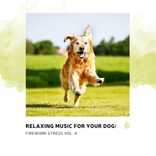 Relaxing Music for Your Dog: Firework Stress Vol. 4