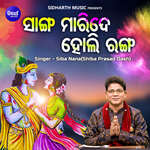 Sanga Maride Holi Ranga