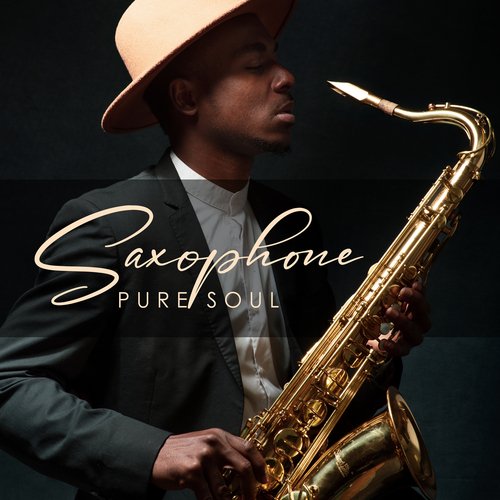 Saxophone Pure Soul: Smooth Sax Jazz Relaxation