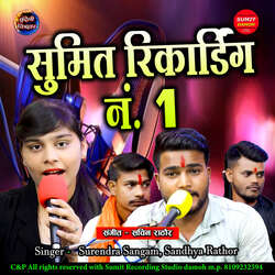 Sumit Recording Studio No 1-NCQcbitjf2M