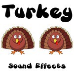 Turkey Sound Effects