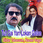 Tut Gai Yari Lokan Galan - Single