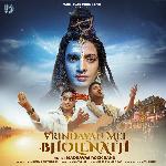 Vrindavan Mei Bholenath