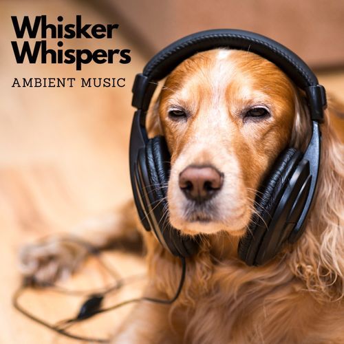 Whisker Whispers: Ambient Music