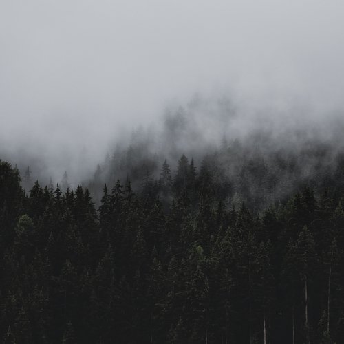 100 Sleep Tracks to Practice Yoga