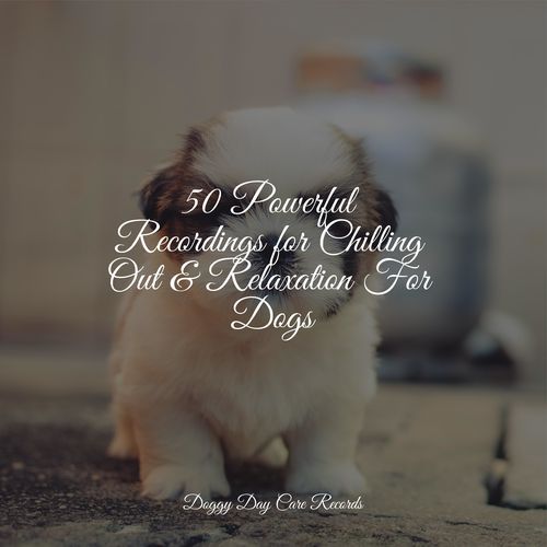 50 Powerful Recordings for Chilling Out & Relaxation For Dogs_poster_image