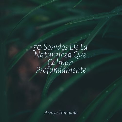 Melodías Suaves cover art