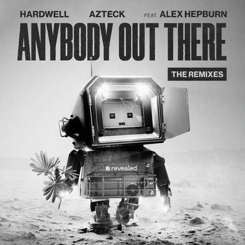 Anybody Out There (The Remixes)_poster_image