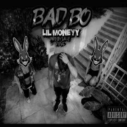 Bad Bo cover art