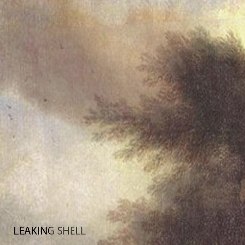 Leaking Shell