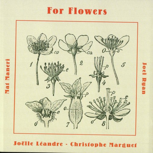 Lilac & Red Poppy cover art