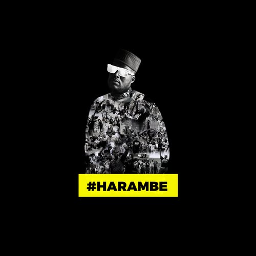 Harambe_poster_image