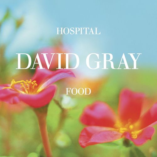 Hospital Food (UK CD)