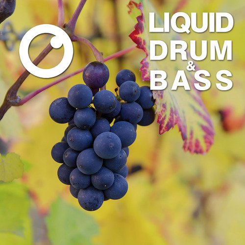 Liquid Drum & Bass Sessions 2020 Vol 15 (The Mix)