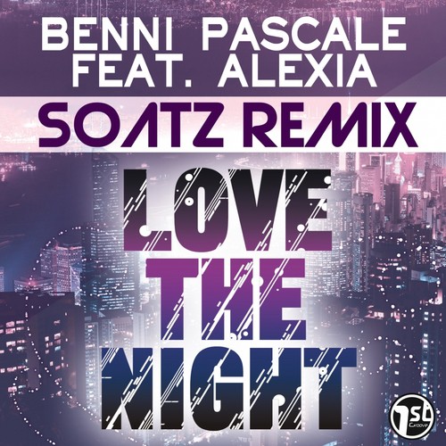 Love The Night (Soatz Remix)_poster_image