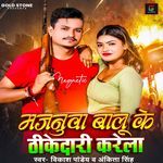 Majanua Balu Ke Thekedari Karela
