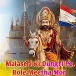 Malaseri Ki Dungri Pe Bole Meetha Mor