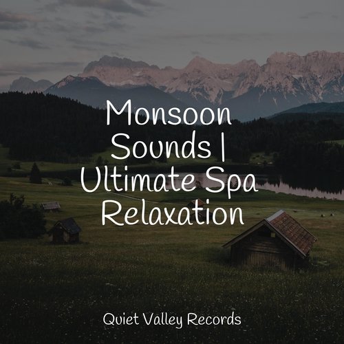 Monsoon Sounds | Ultimate Spa Relaxation