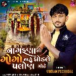 Nagfana No Gogo Maro Ghodle Palon Mode