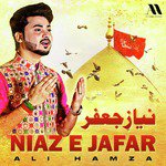 Niaz E Jafar
