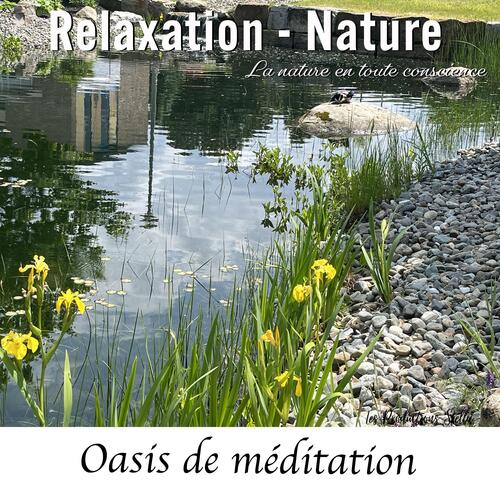 Oasis de méditation cover art