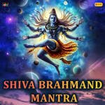 SHIVA BRAHMAND MANTRA