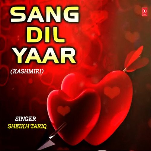 Sang Dil Yaro