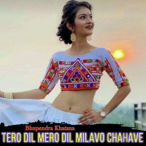 Tero Dil Mero Dil Milavo Chahave