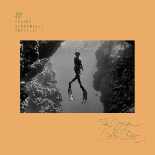 Fernandez cover art