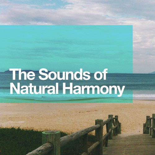 The Sounds of Natural Harmony_poster_image