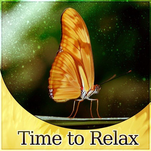 Time to Relax - Acoustic Guitar Music & Piano Bar Music, Romantic Instrumental Songs, Smooth Jazz