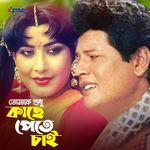 Tomake Shudhu Kache Pete Chai