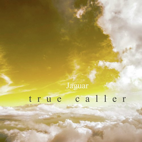 True Caller_poster_image