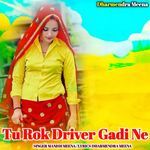 Tu Rok Driver Gadi Ne