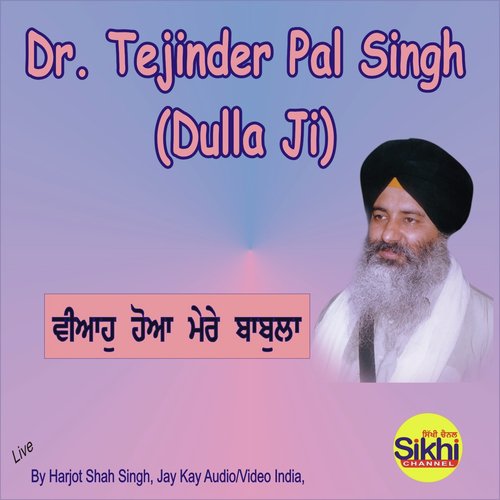 Veha Hoya Mere Babla cover art