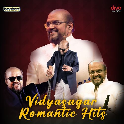 Vidyasagar Romantic Hits_poster_image