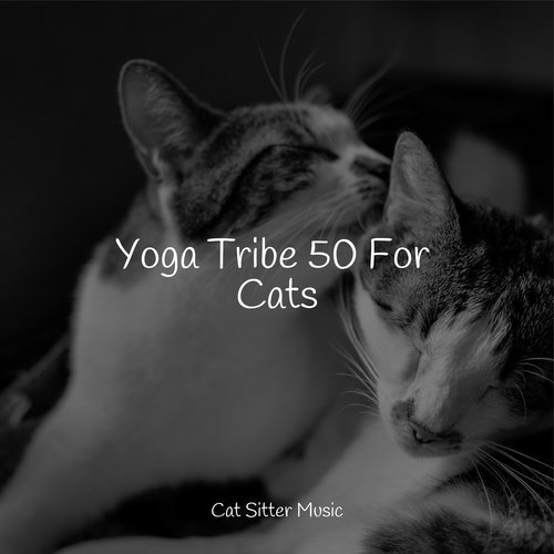 Yoga Tribe 50 For Cats_poster_image