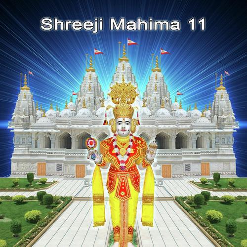 shreeji Mahima 11