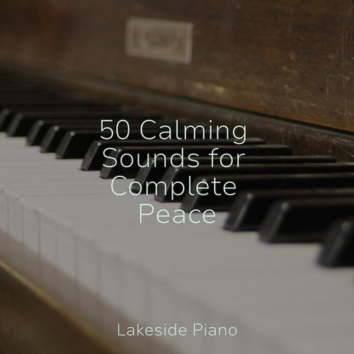 50 Calming Sounds for Complete Peace