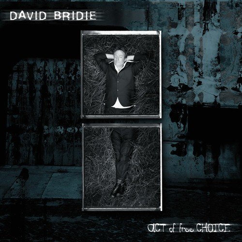 David Bridie