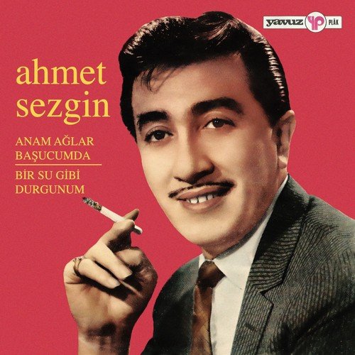 Ahmet Sezgin