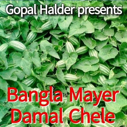 Bangla Mayer Damal Chele