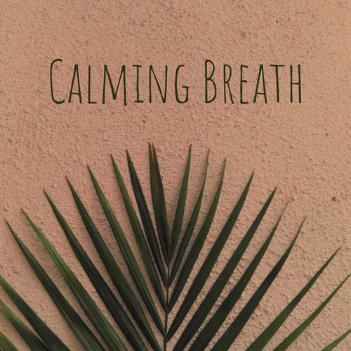 Calming Breath_poster_image