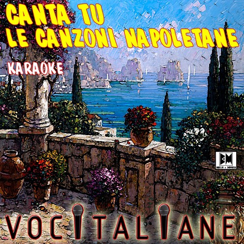 Canta tu le canzoni napoletane (Karaoke)_poster_image