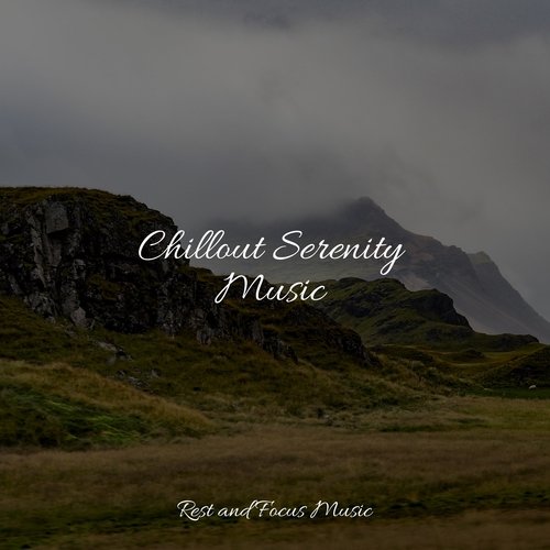 Chillout Serenity Music_poster_image