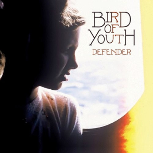 Defender_poster_image