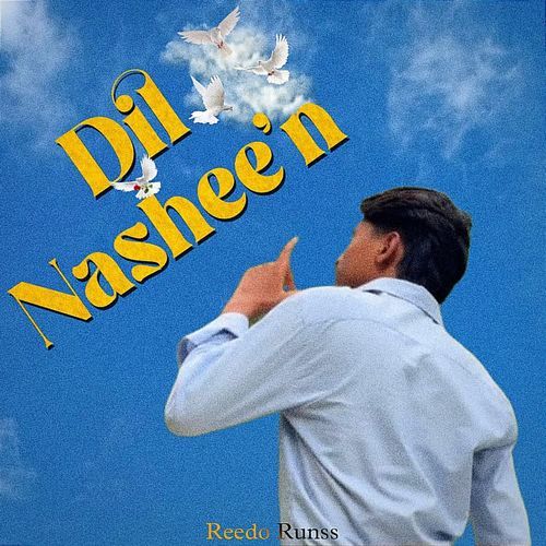 Dil Nashee'n